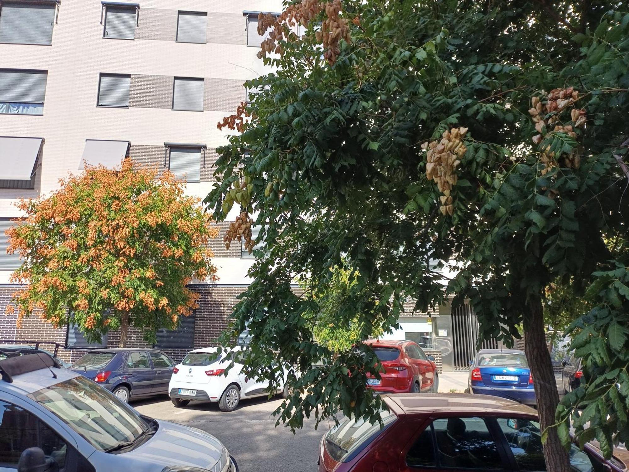 Estudios Nuevos Madrid Centro Екстериор снимка