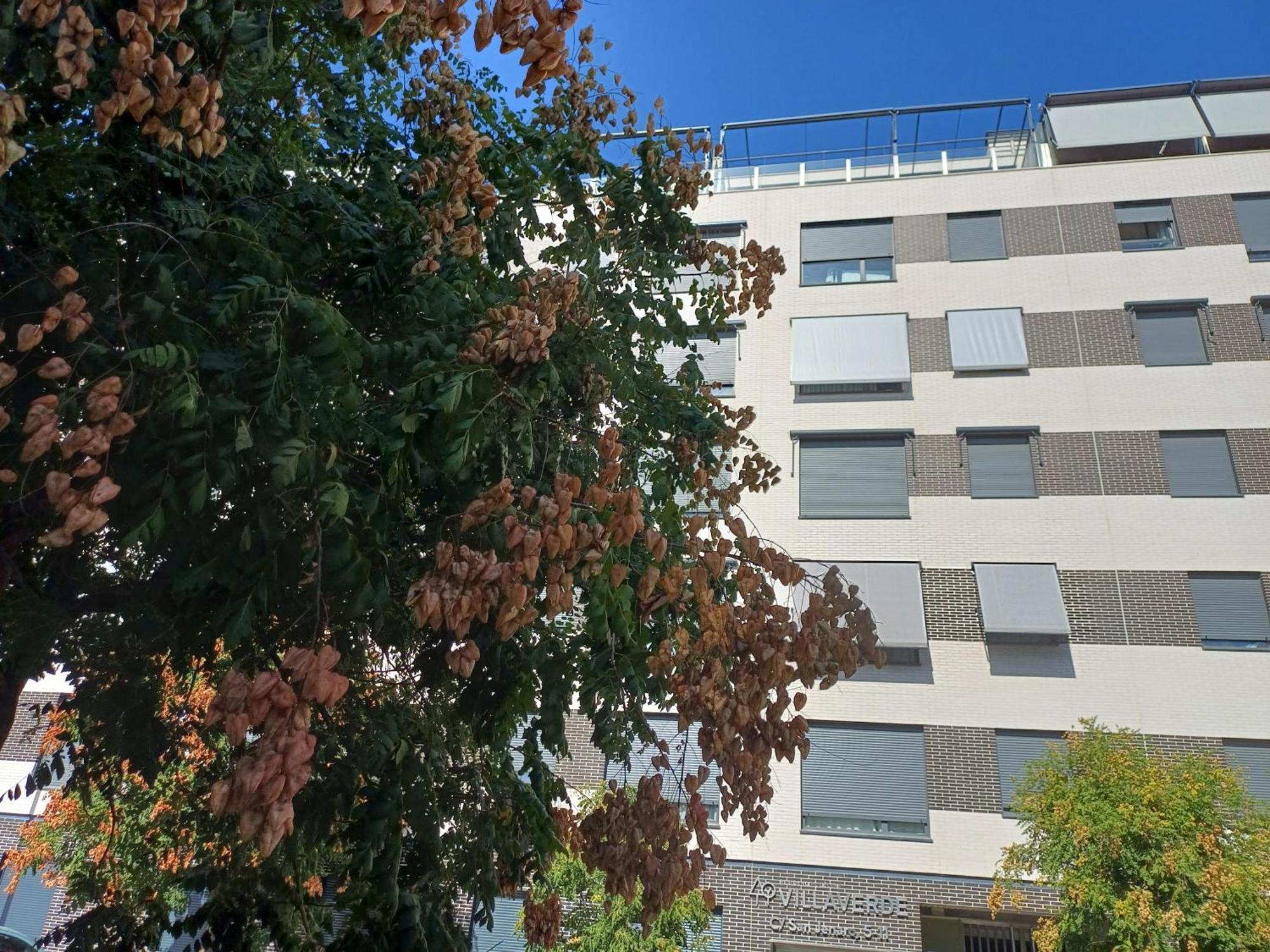 Estudios Nuevos Madrid Centro Екстериор снимка